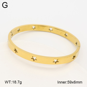 2BA403212vbnl-452  Stainless Steel Bangle