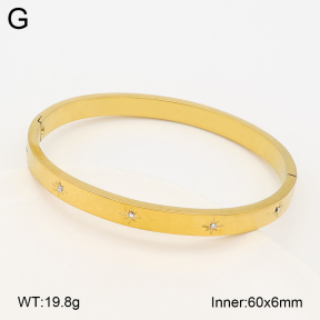 2BA403213vbnl-452  Stainless Steel Bangle
