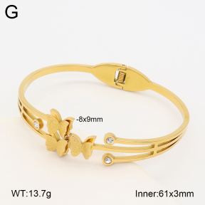 2BA403215bbov-452  Stainless Steel Bangle