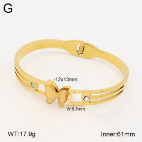 2BA403216bbov-452  Stainless Steel Bangle