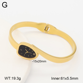 2BA403218abol-452  Stainless Steel Bangle