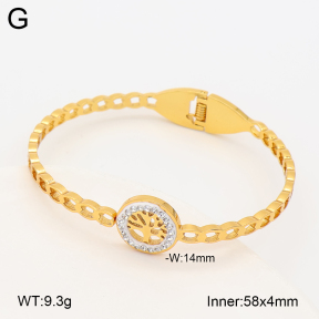 2BA403221bbov-452  Stainless Steel Bangle