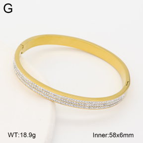 2BA403224bbov-452  Stainless Steel Bangle