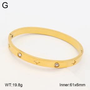 2BA403228vbnl-452  Stainless Steel Bangle