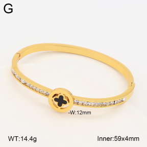 2BA403230bbov-452  Stainless Steel Bangle