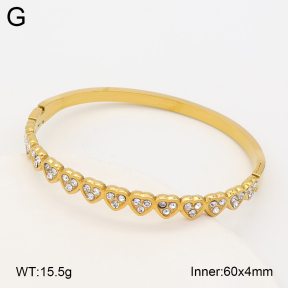 2BA403233abol-452  Stainless Steel Bangle