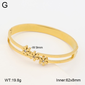 2BA403234bbov-452  Stainless Steel Bangle