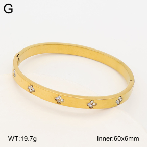 2BA403242bbov-452  Stainless Steel Bangle