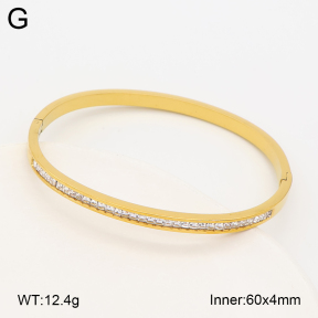 2BA403246abol-452  Stainless Steel Bangle