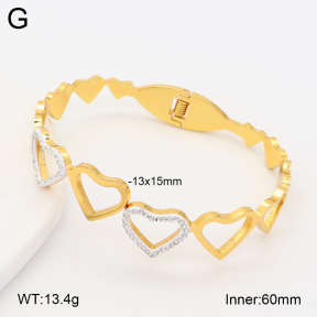 2BA403247abol-452  Stainless Steel Bangle