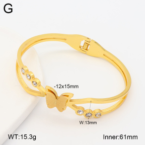 2BA403248abol-452  Stainless Steel Bangle