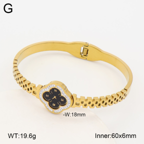 2BA403250vbpb-452  Stainless Steel Bangle