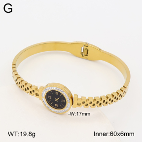 2BA403251vbpb-452  Stainless Steel Bangle
