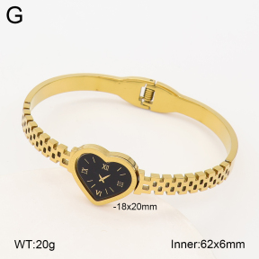 2BA403252abol-452  Stainless Steel Bangle