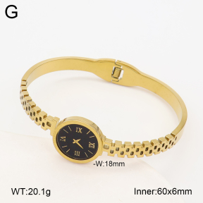 2BA403254abol-452  Stainless Steel Bangle