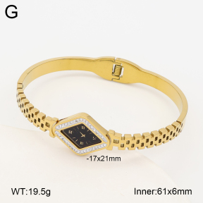 2BA403255vbpb-452  Stainless Steel Bangle
