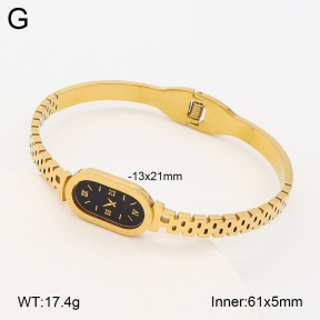 2BA403258abol-452  Stainless Steel Bangle