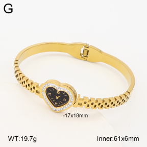 2BA403259vbpb-452  Stainless Steel Bangle