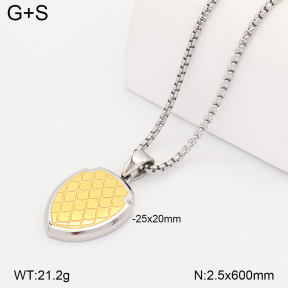 2N2009731aivb-746  Stainless Steel Necklace
