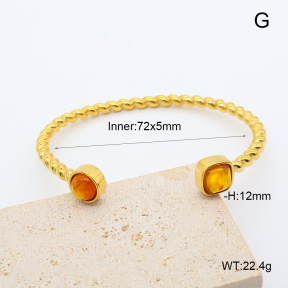 GEB000910vhmv-066  18K PVD Resin,Handmade Polished  Stainless Steel Bangle  BC26070508B-BR