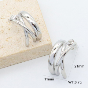 GEE003120vbpb-066  316 Pin,Handmade Polished  Stainless Steel Earrings  BC26050334E-S