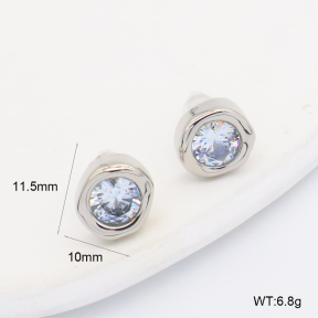 GEE003144vbpb-066  316 Pin Zircon,Handmade Polished  Stainless Steel Earrings  BC26060397E-S-WT