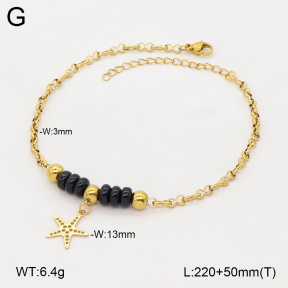 2A9002003vbll-350  Stainless Steel Anklets