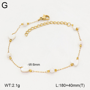 2B3004776ablb-743  Stainless Steel Bracelet