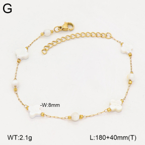 2B3004777ablb-743  Stainless Steel Bracelet