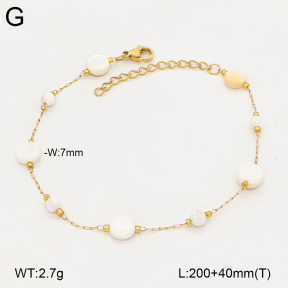 2B3004778ablb-743  Stainless Steel Bracelet