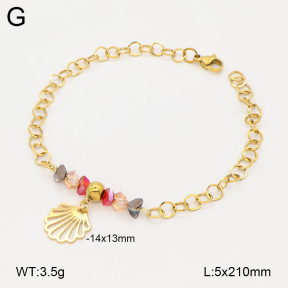 2B4006327vbll-350  Stainless Steel Bracelet