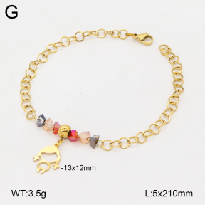 2B4006328vbll-350  Stainless Steel Bracelet