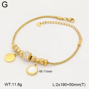 2B4006473vhkl-743  Stainless Steel Bracelet