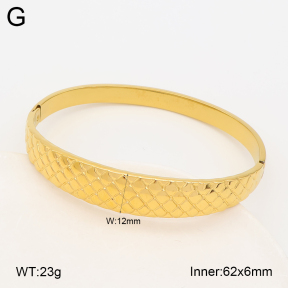2BA203010ahjb-328  Stainless Steel Bangle