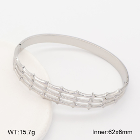 2BA203013vhhl-328  Stainless Steel Bangle
