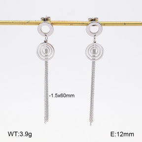 2E2007516ablb-350  Stainless Steel Earrings