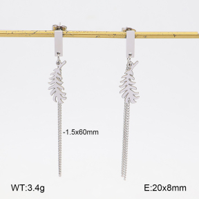 2E2007517ablb-350  Stainless Steel Earrings