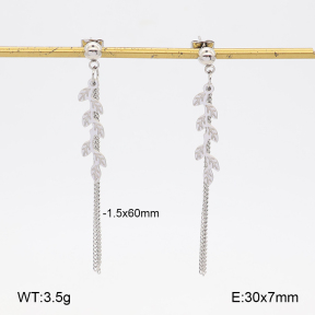 2E2007518ablb-350  Stainless Steel Earrings