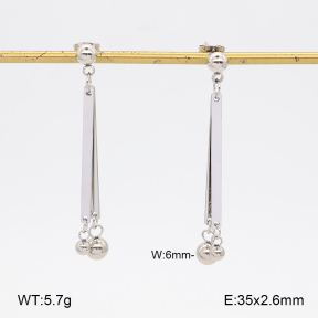 2E2007519ablb-350  Stainless Steel Earrings