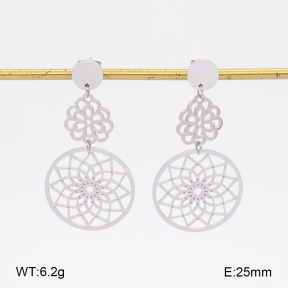 2E2007520vbll-350  Stainless Steel Earrings