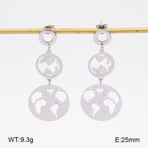 2E2007521vbll-350  Stainless Steel Earrings