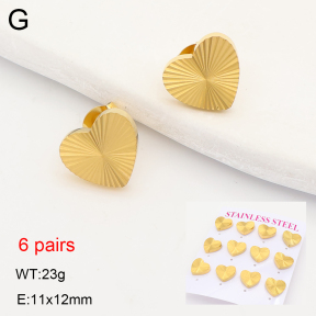 2E2007524vhnl-436  Stainless Steel Earrings
