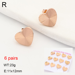 2E2007525vhnl-436  Stainless Steel Earrings