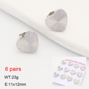 2E2007526vhkl-436  Stainless Steel Earrings