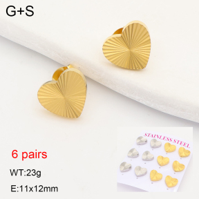 2E2007528vhmv-436  Stainless Steel Earrings