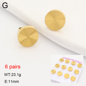 2E2007529vhnl-436  Stainless Steel Earrings