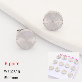 2E2007531vhkl-436  Stainless Steel Earrings