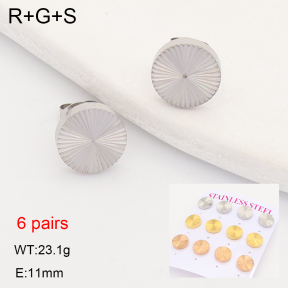 2E2007532vhnl-436  Stainless Steel Earrings