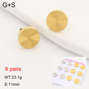 2E2007533vhmv-436  Stainless Steel Earrings