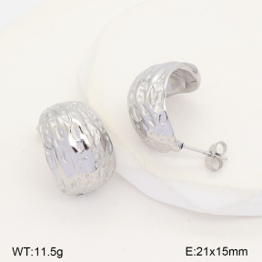 2E2007534bbov-253  Stainless Steel Earrings